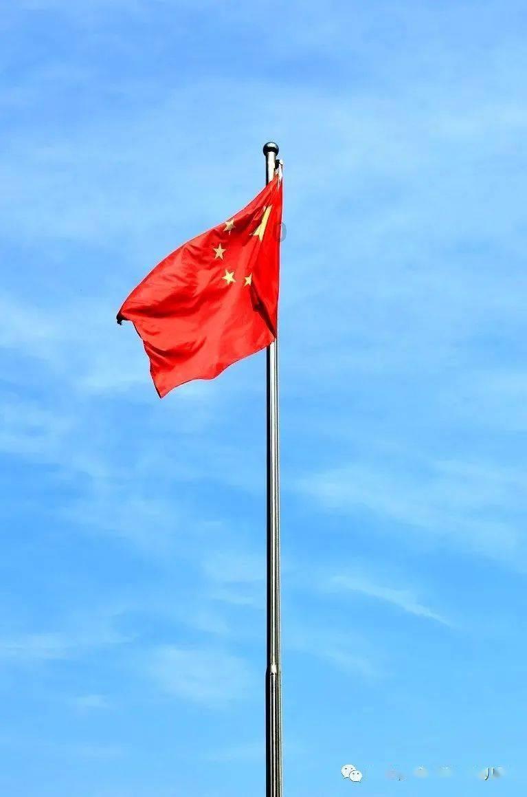 五彩鹦鹉救援